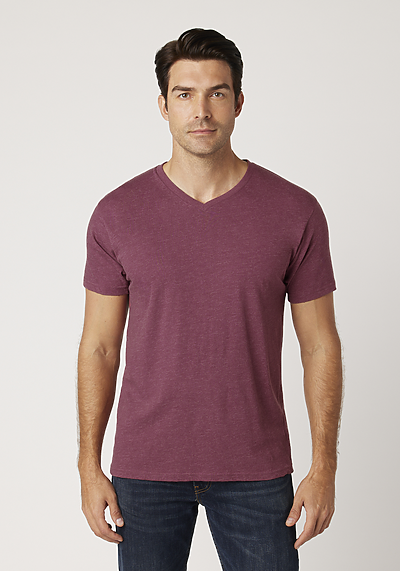 Men's V-Neck T-Shirt | Cotton Heritage