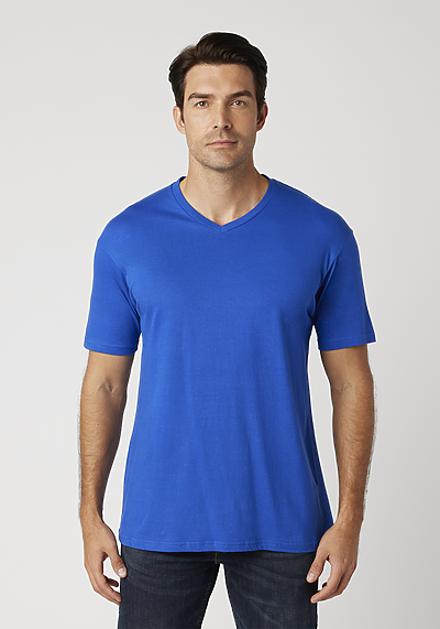 Men's V-Neck T-Shirt | Cotton Heritage