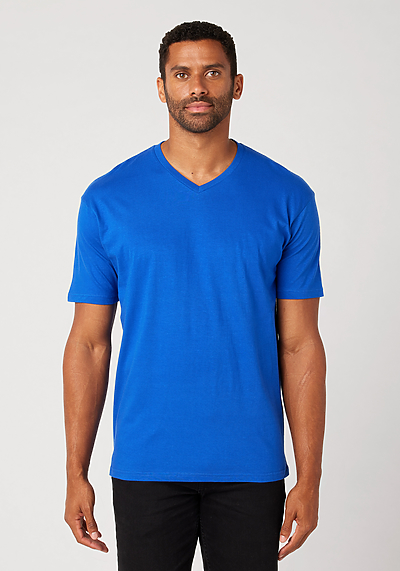 Men's V-Neck T-Shirt | Cotton Heritage