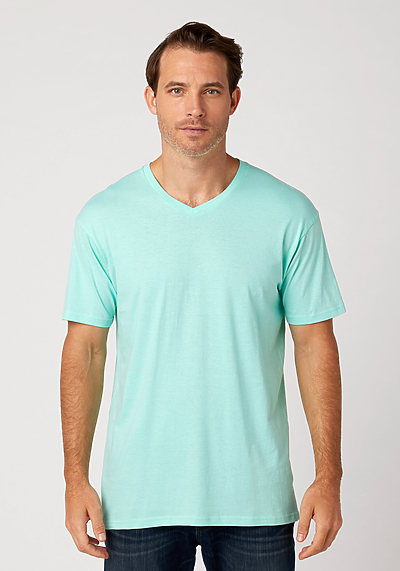 Men's V-Neck T-Shirt | Cotton Heritage