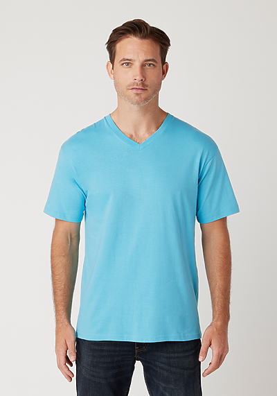 Men's V-Neck T-Shirt | Cotton Heritage