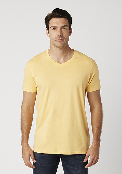 Men's V-Neck T-Shirt | Cotton Heritage